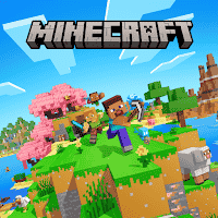 com.mojang.minecraftpe