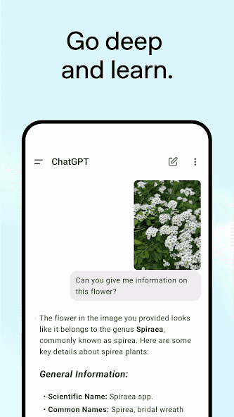 com.openai.chatgpt
